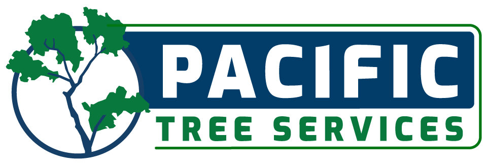pacific tree services