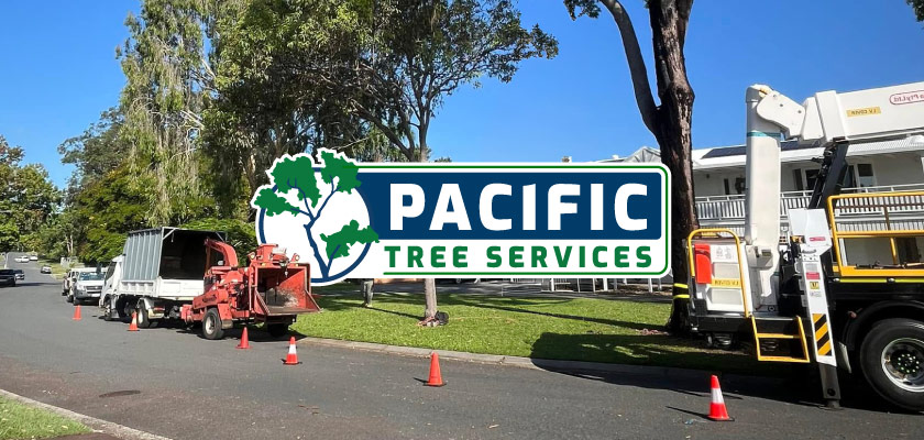 tree lopping services