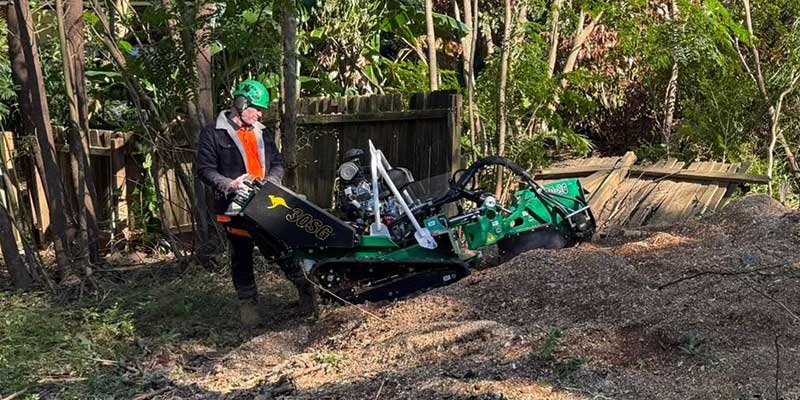 stump grinding